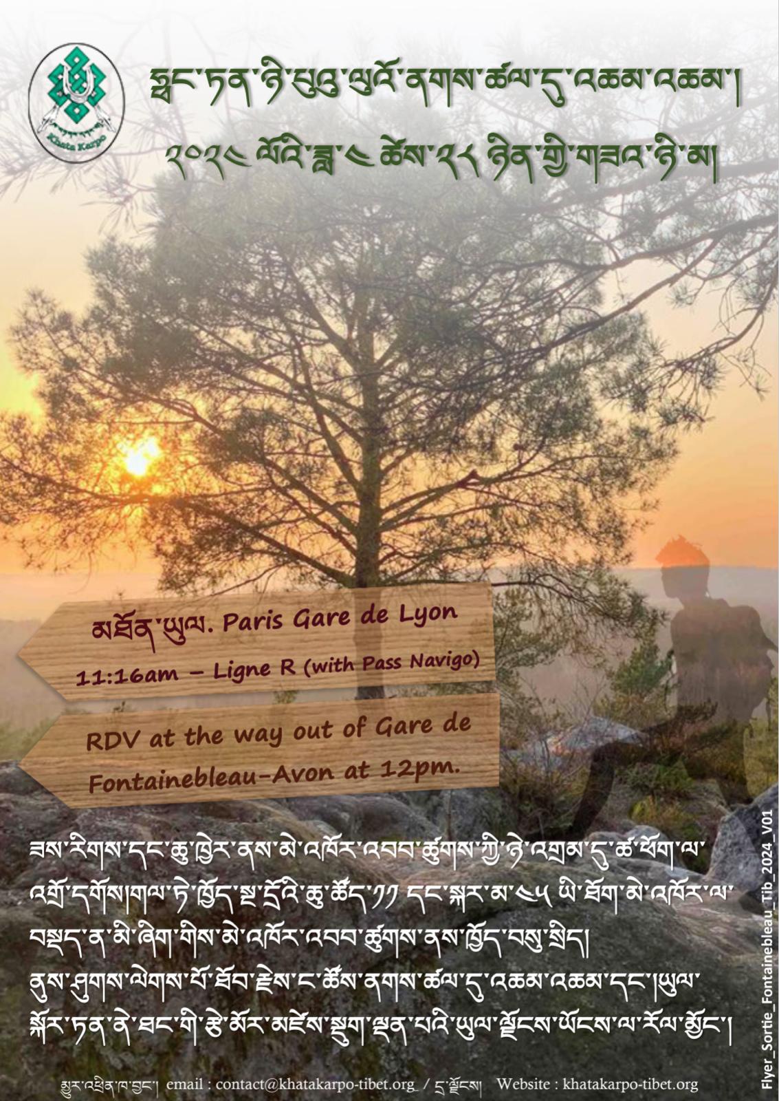 28th of april - Walk in the forest of Fontainebleau-bo