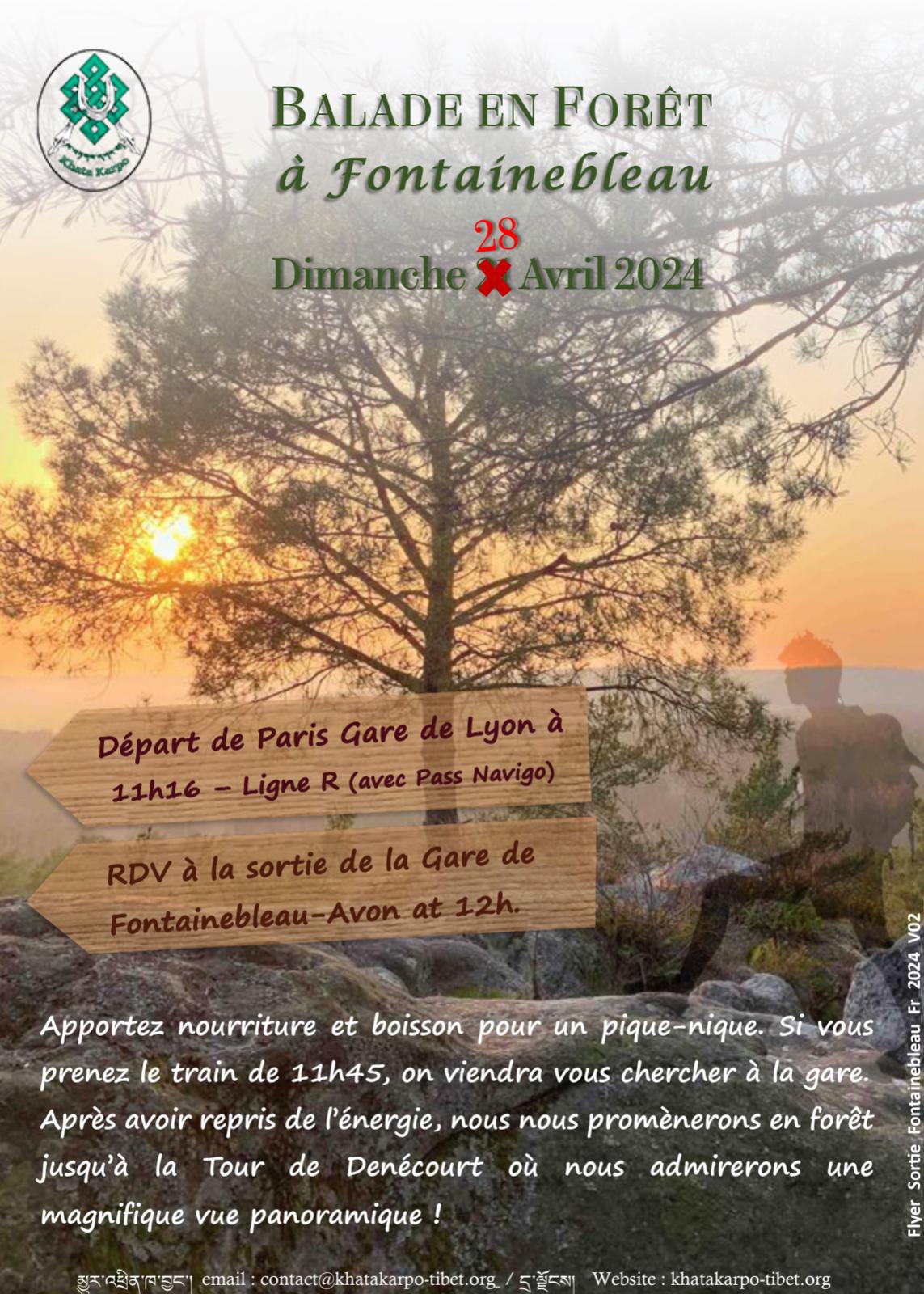 28 avril -  Promenade en Forêt de Fontainebleau